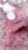IMG_1100.JPEG