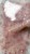 IMG_1102.JPEG